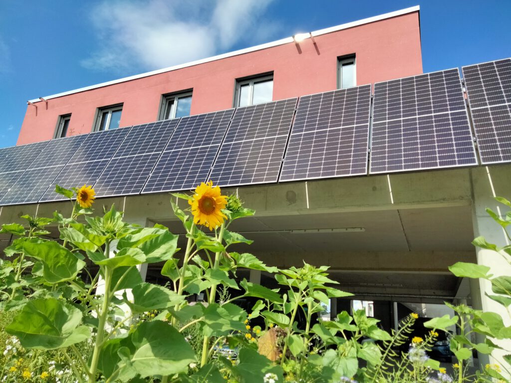 Sonnenblumen und Solarpanelen vor dem roten Haus.
